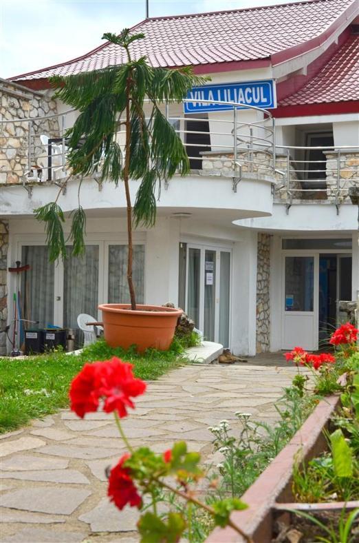 Vila Liliacul Stana de Vale Exterior foto