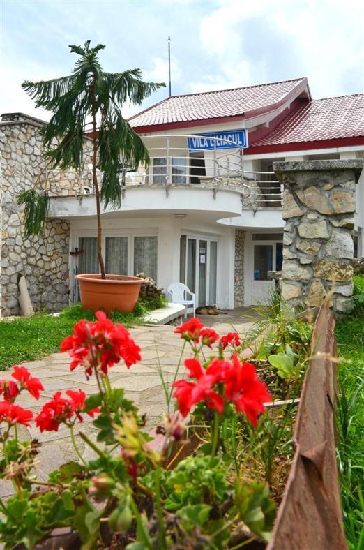Vila Liliacul Stana de Vale Exterior foto